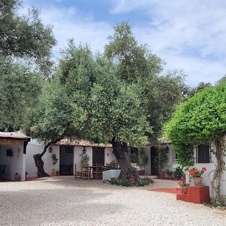הוילה רונדה Casa Abanto מראה חיצוני תמונה