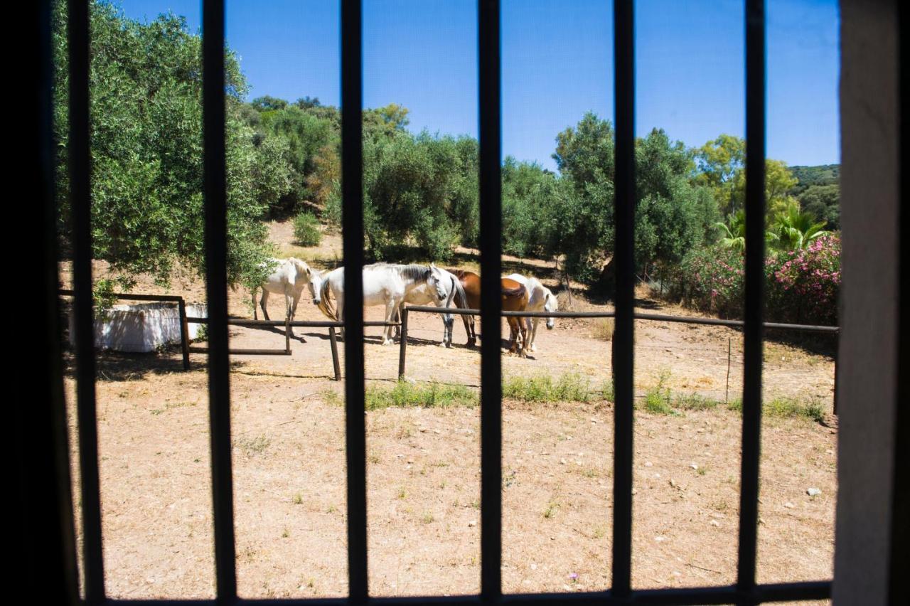 הוילה רונדה Casa Abanto מראה חיצוני תמונה