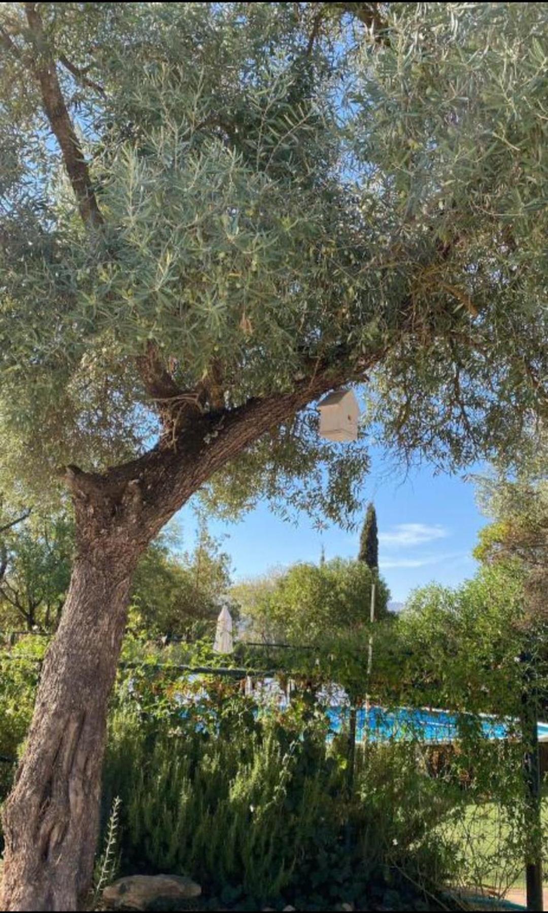 הוילה רונדה Casa Abanto מראה חיצוני תמונה