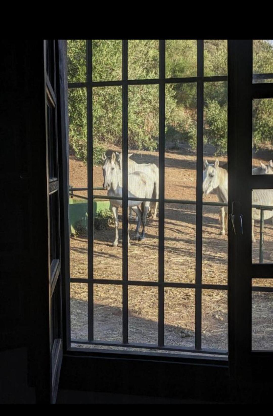 הוילה רונדה Casa Abanto מראה חיצוני תמונה