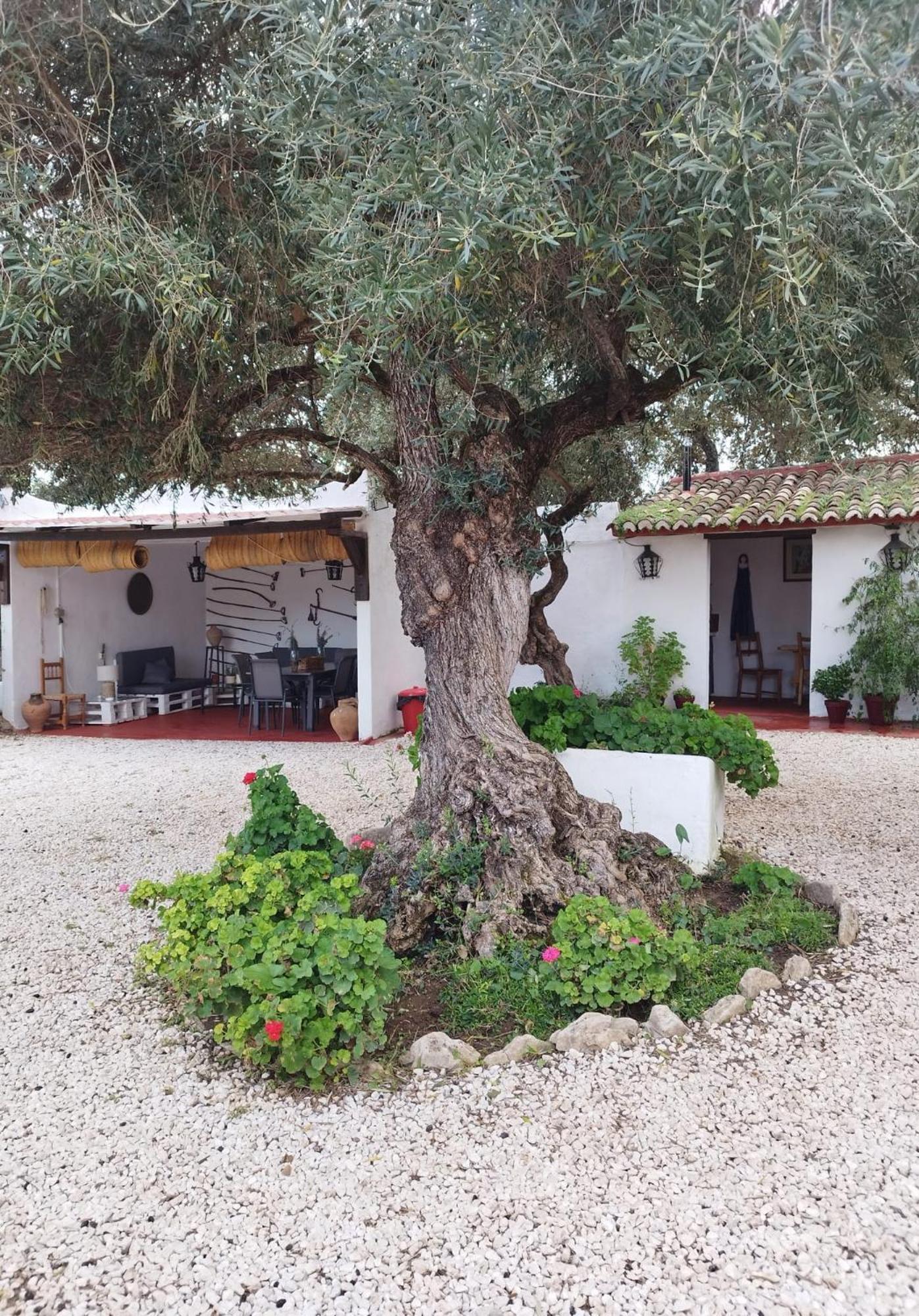 הוילה רונדה Casa Abanto מראה חיצוני תמונה